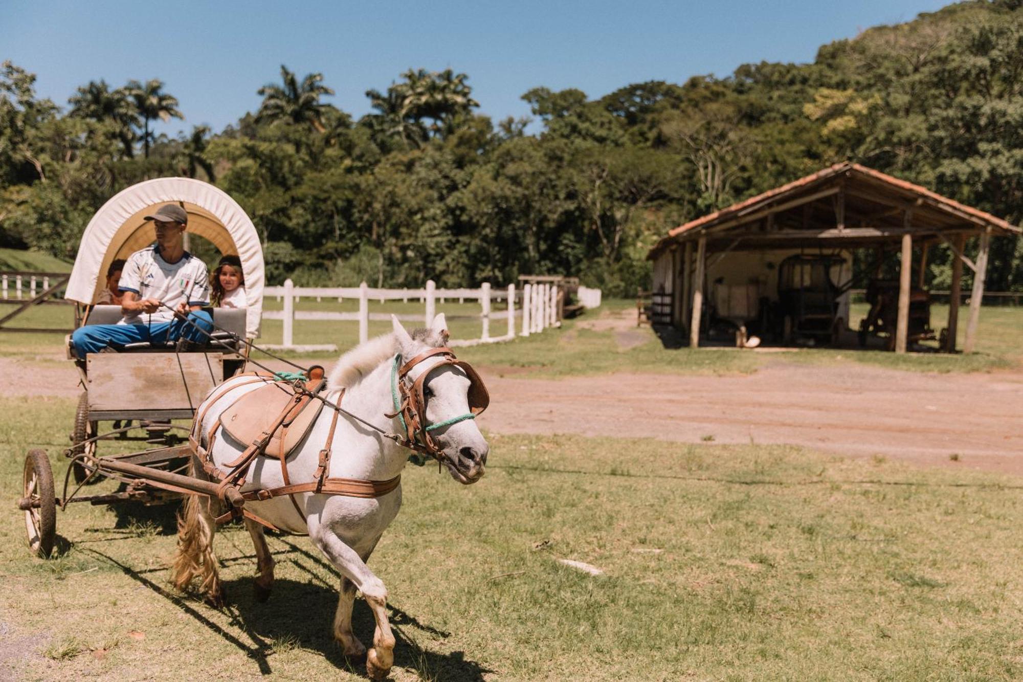 Resort Fazenda 3 Pinheiros Engenheiro Passos Kültér fotó