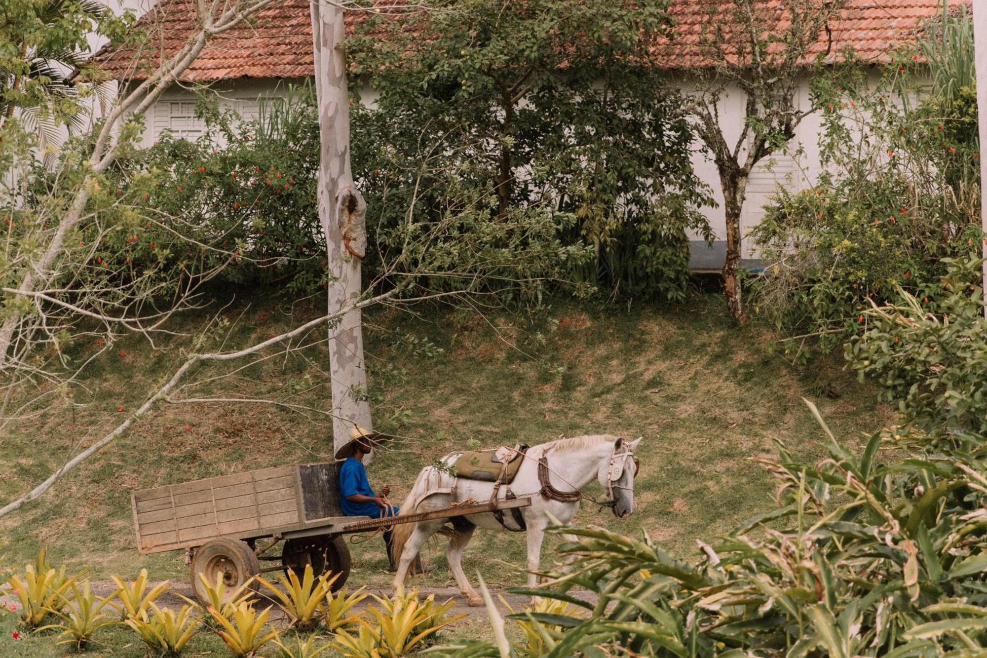 Resort Fazenda 3 Pinheiros Engenheiro Passos Kültér fotó