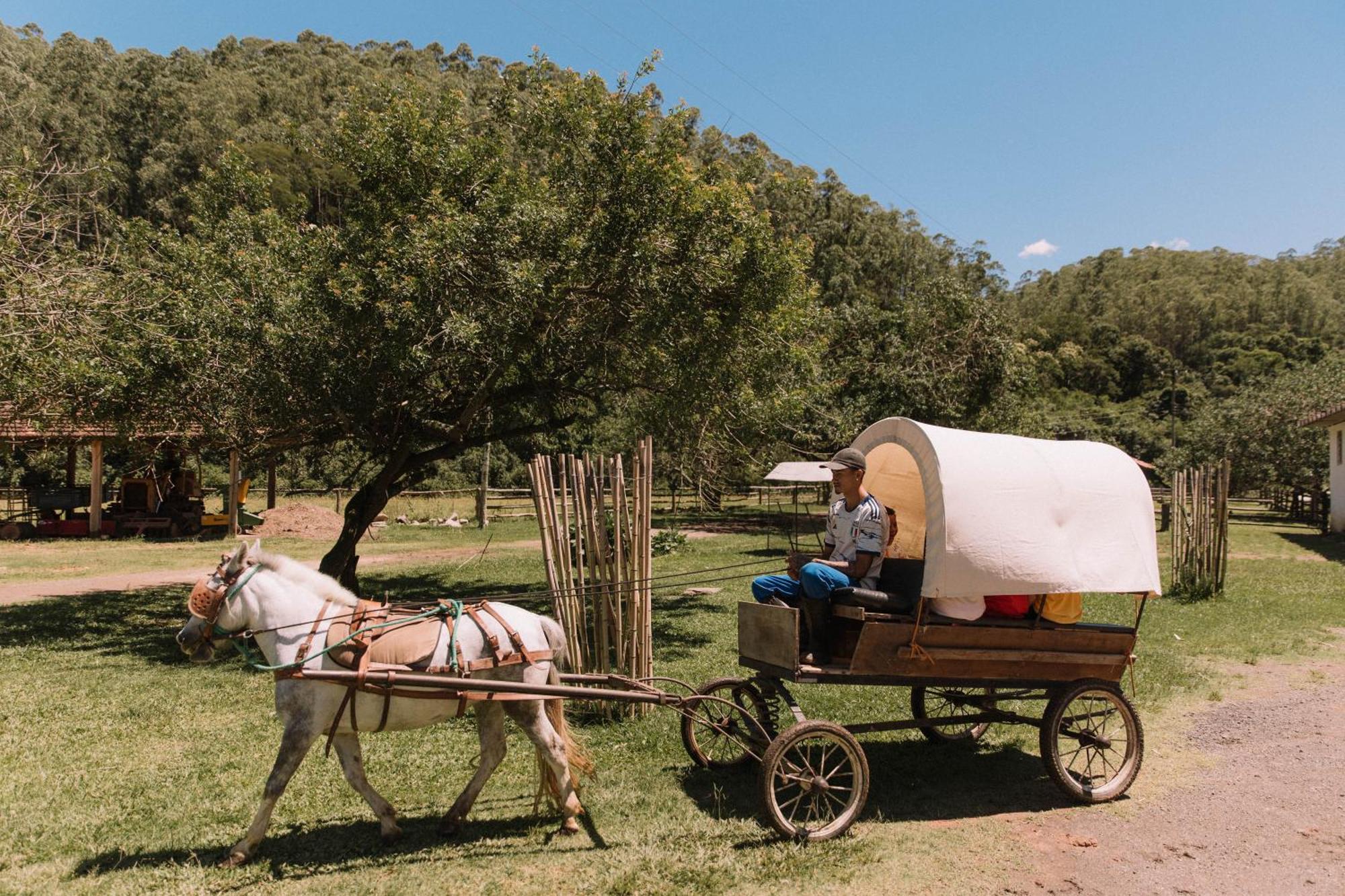 Resort Fazenda 3 Pinheiros Engenheiro Passos Kültér fotó
